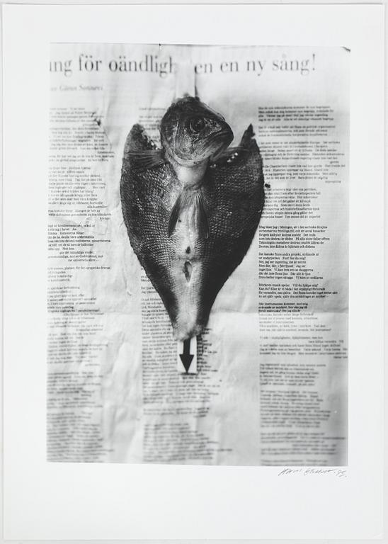 Hans Gedda, Stilleben med fisk, 1983.