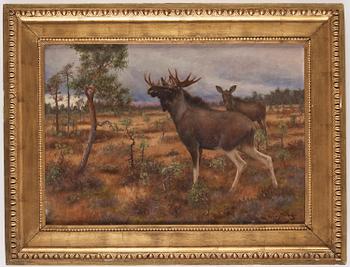 Axel Borg, Moose in autumn landscape.