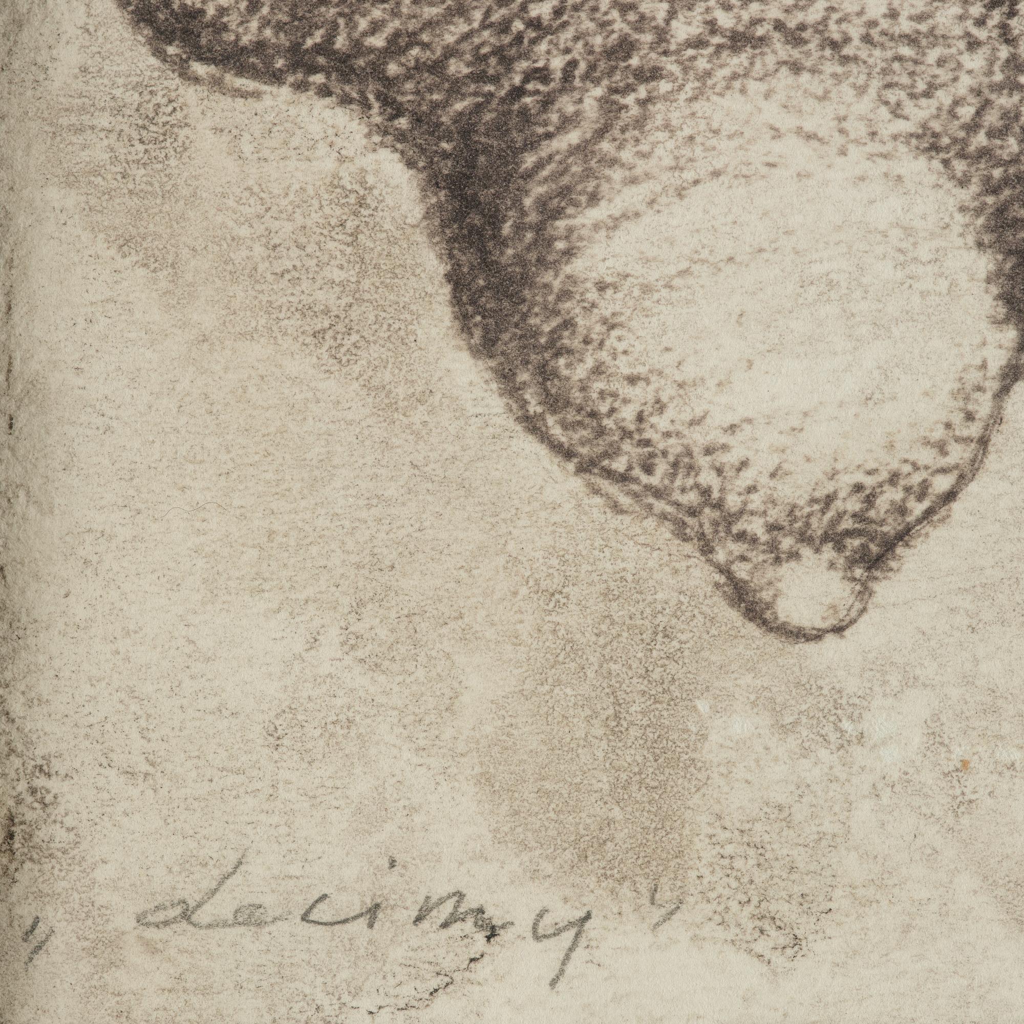 Jan Lebenstein, "Lecimy".