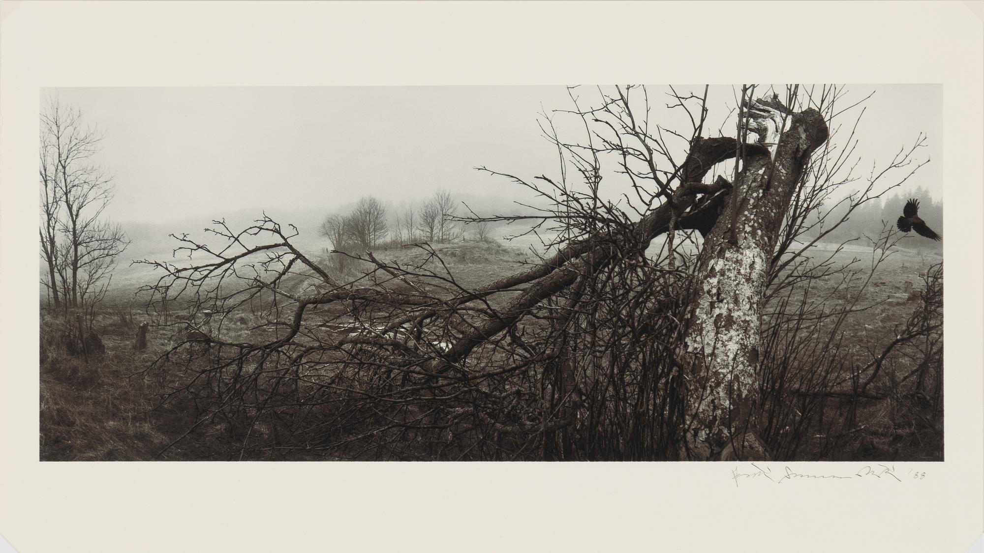 Pentti Sammallahti, "Lemland, Åland, 1988".