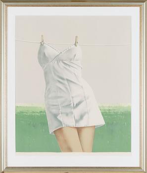 Yrjö Edelmann, 'A Dress Drying on the Line'.