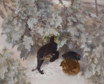 Bruno Liljefors, Capercaillies in a Winter Landscape.