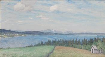 372. Alfred Bergström, Landskapsvy.