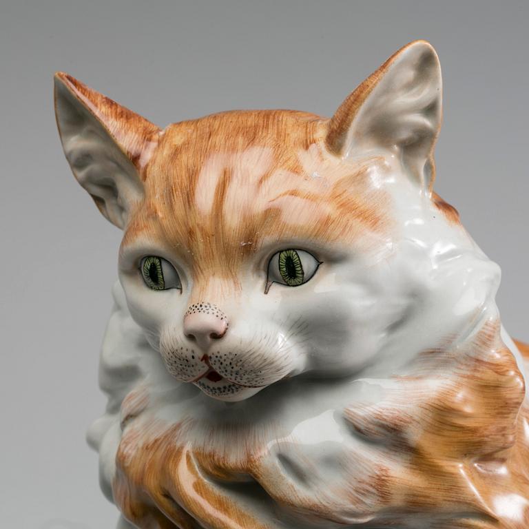 A DRESDEN FIGURIN CAT, FIRST HALF OF 20TH CENTURY.