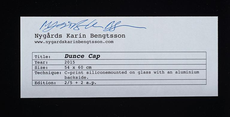 Nygårds Karin Bengtsson, "Dunce Cap", 2015.