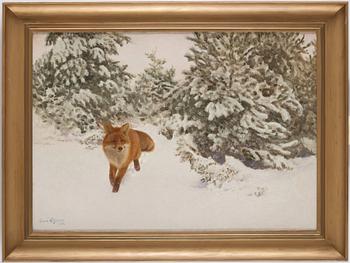 Bruno Liljefors, Winter landscape with fox.