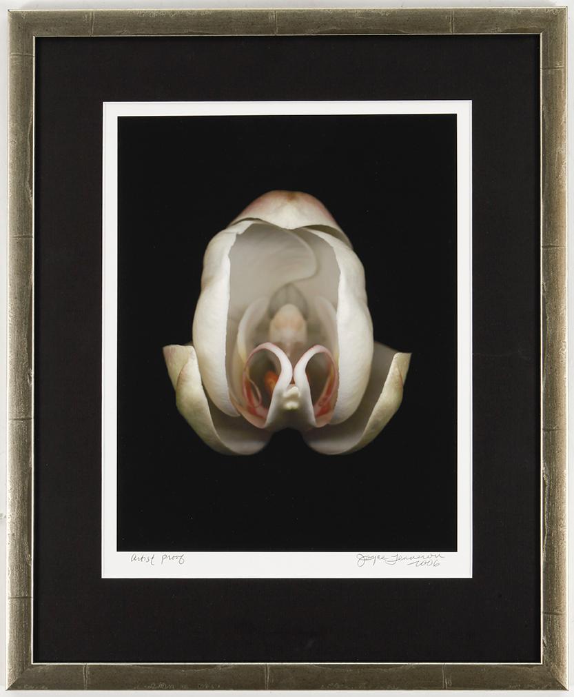 JOYCE TENNESON, pigment print signed Joyce Tenneson and dated 2006, numbered AP.
