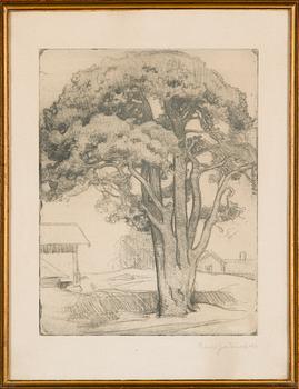 Eero Järnefelt, "Tuomalan mänty I".