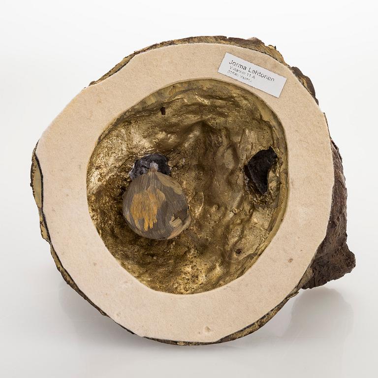 Jorma Lehtonen, Vesilintuja.