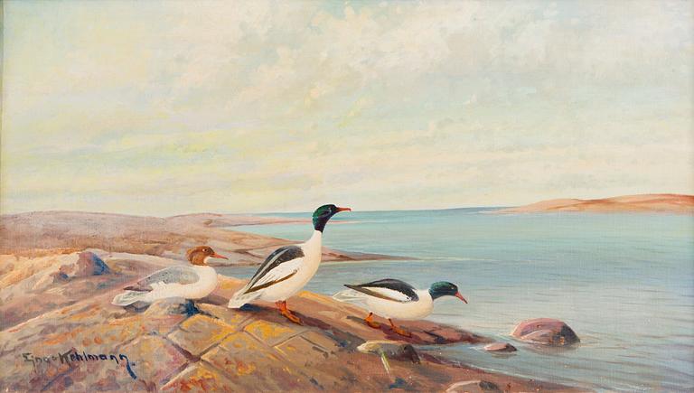 Ejnar Kohlmann, A Family of Ducks.