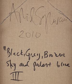 "Black, Grey, Broken Sky and Palest Blue III".