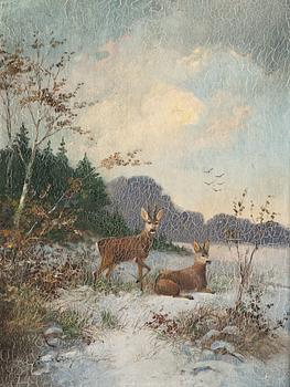 641. HJORTAR.