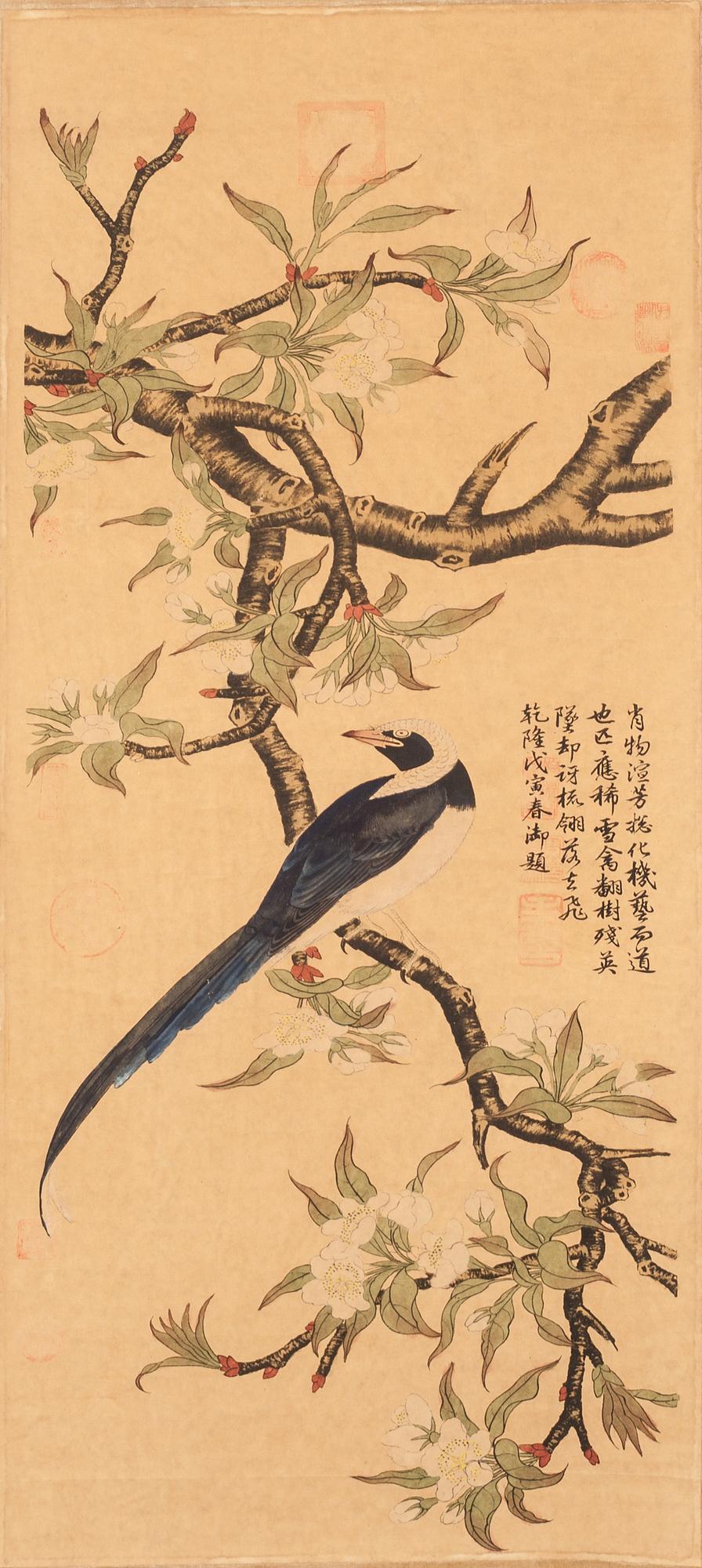 RULLMÅLNING, tusch och akvarell på siden. Omkring 1900.