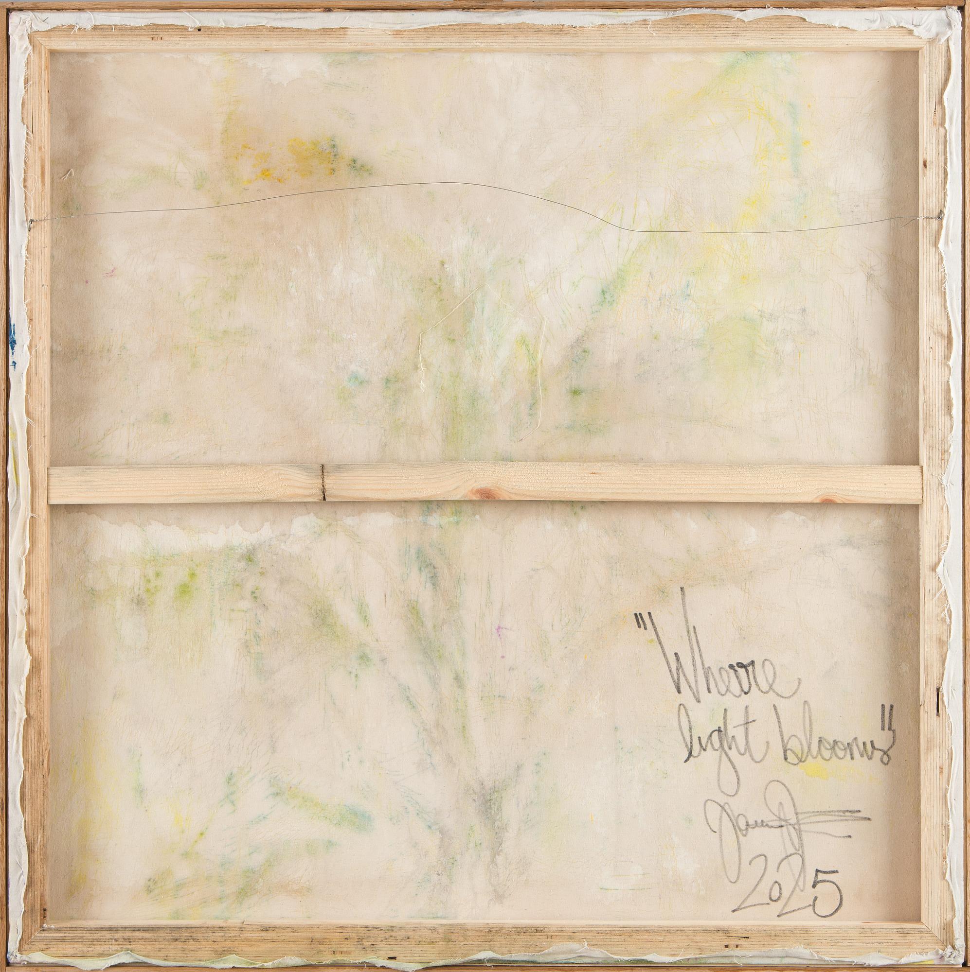 Joona Ijäs, "Where Light Blooms".