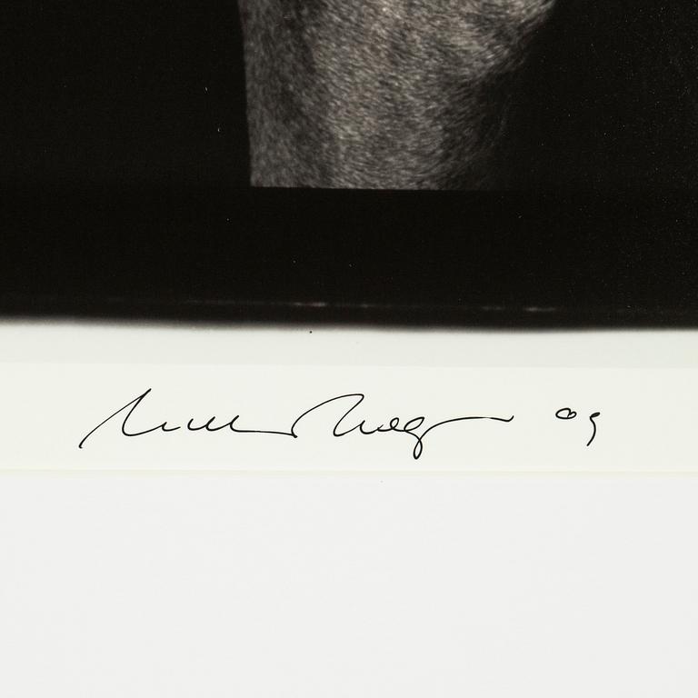 William Wegman, archival pigment print, 2009, signerat. Numrerat 117/1500 a tergo.