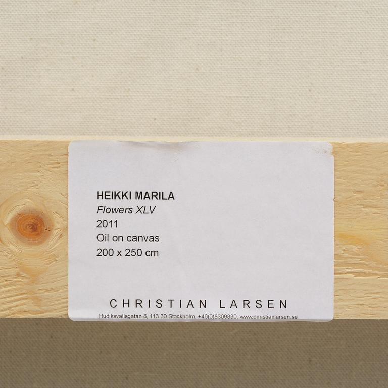 Heikki Marila, "Flowers XLV".