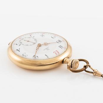 Omega, fickur, 51 mm.