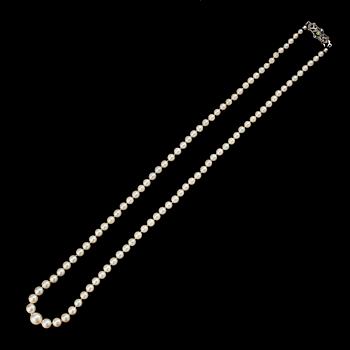 COLLIER, pärlor, lås av silver.