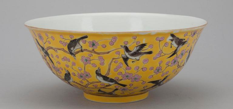 SKÅL, Kina, porslin, Guang Xu 1875-1908.