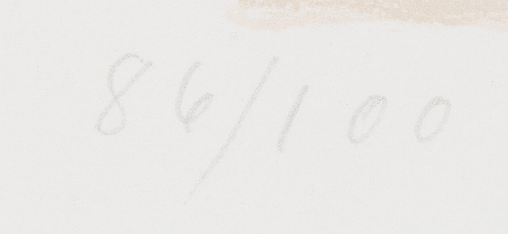 Rafael Wardi, Drumsö.