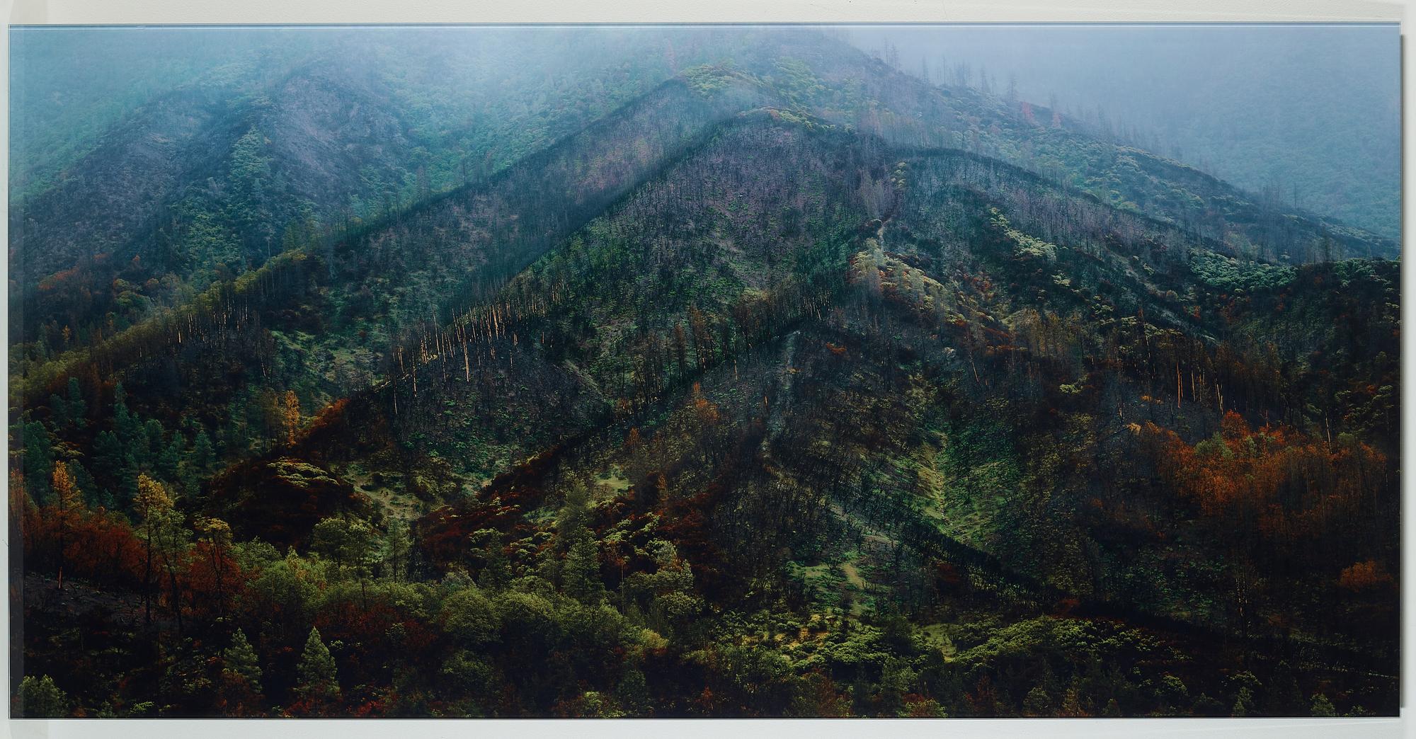 DANIEL SANDBERG, C-print silikonmonterad på glas, signerad, numrerad  2/3, daterad 2009.