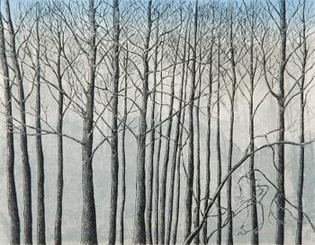 INARI KROHN, etching, signed and dated 2000, numbered Tait. vedos 4/10.