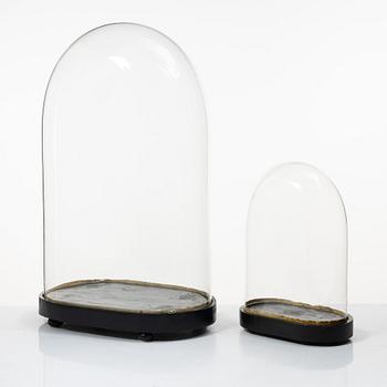 Two glass domes, 19th Century.