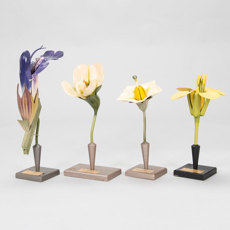 Robert Brendel & Carl Leopold Lohmeyer, A set of 4 educational materials / sculptures, "Botanic Flowers" by R. Bredel. Poland, turn of the 20th century.