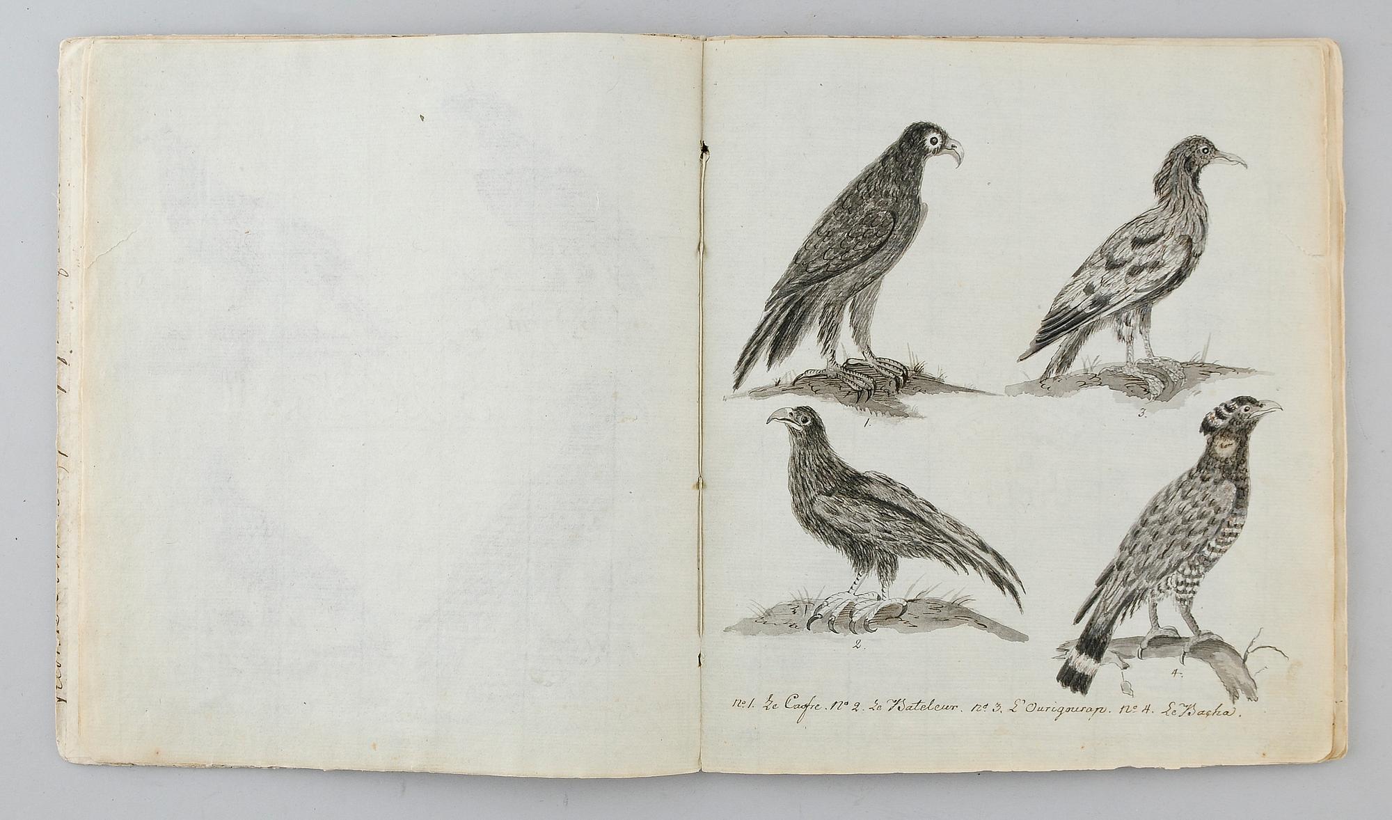 HÄFTE, 1800-tal, teckningar.