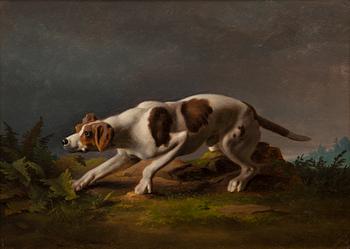 242. Ferdinand von Wright, HOUND.