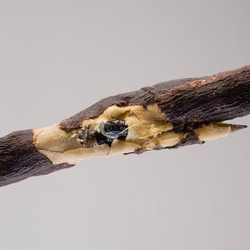 NIRAN BAIBULAT, "OKSA II".