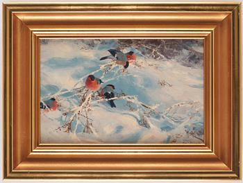 Thure Wallner, Bullfinches in Winter landscape.