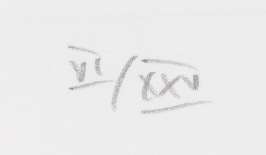 Pentti Kaskipuro, Mushroom.