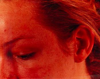 Staffan Redin, Untitled, quadriptych.