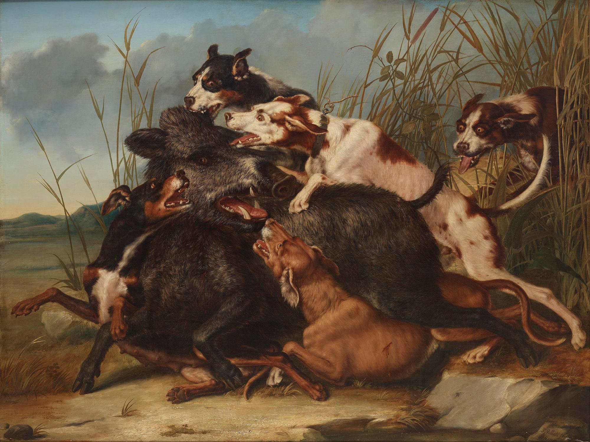 P. Vallati, Vildsvinsjakt med hundar.