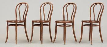 STOLAR, 4 st, Thonet, 1900-talets början.