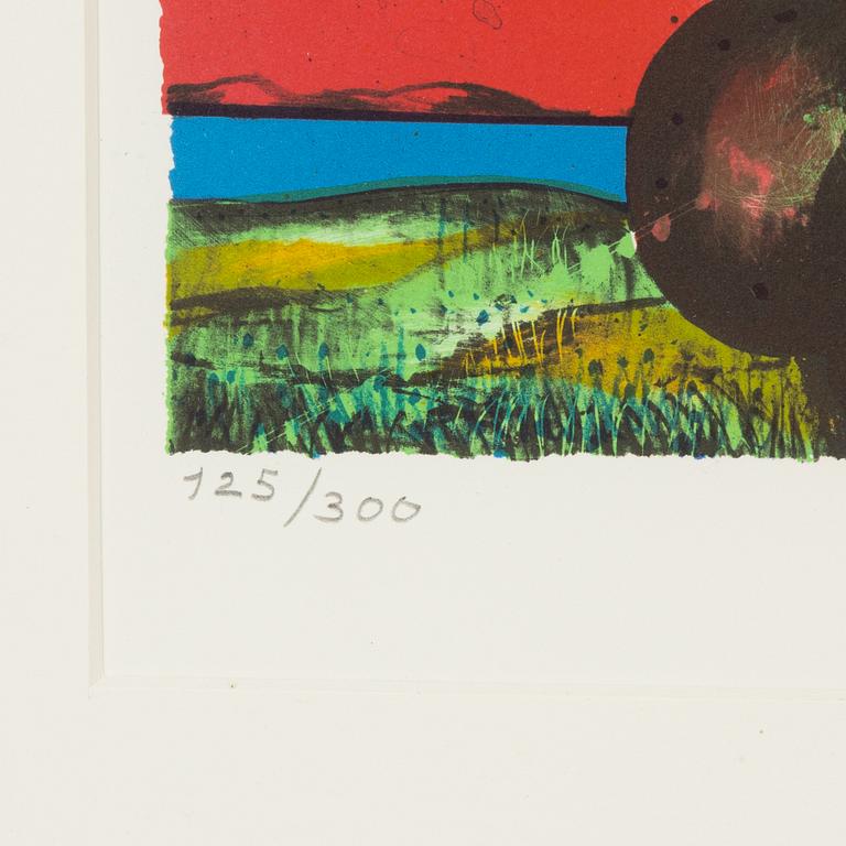 Ardy Strüwer, färglitografi signerad och  125/300.