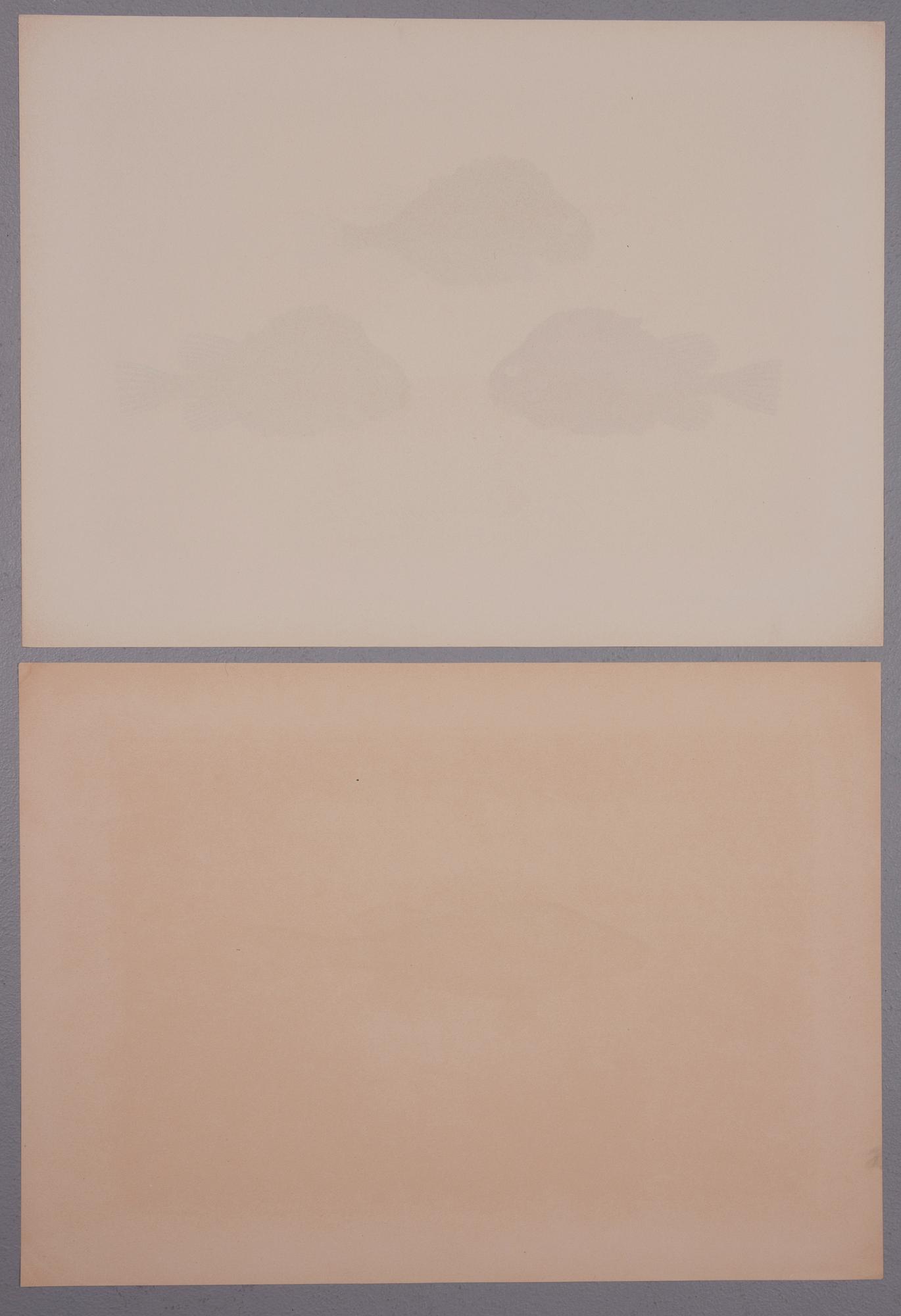 GÖSTA SUNDMAN, kromolitografier, 2 st, signerade, daterade samt numrerade i tryck.