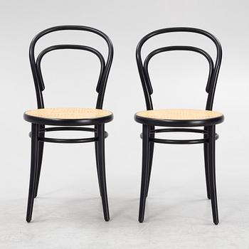 Six model 14 chairs, Ton, 21st century.