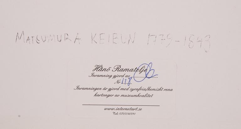 Matsumura Keibun, after, Ducks and dragonfly by the riverbank, first part of the 20th century.