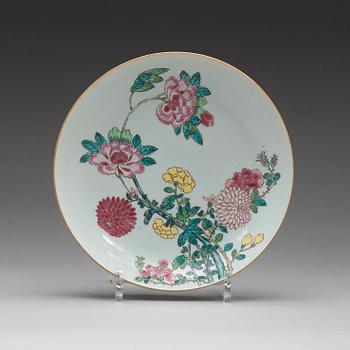 FAT, porslin. Qingdynastin, 1700-tal med Johanneummärke N=176. I.