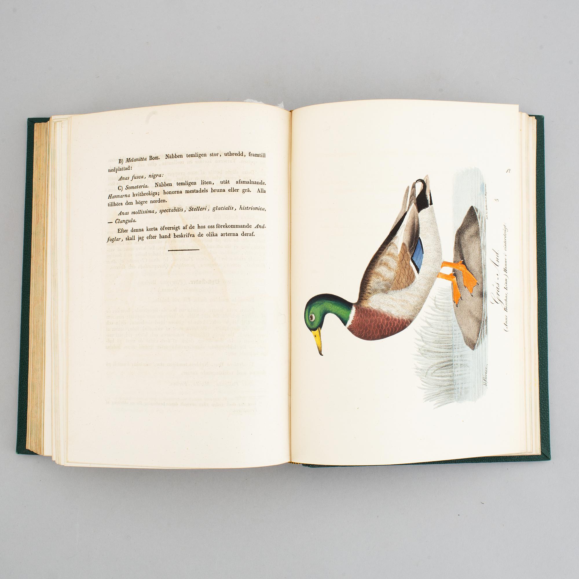 Med 200 litograferade zoologiska planscher, 1832-40, (2 vol).