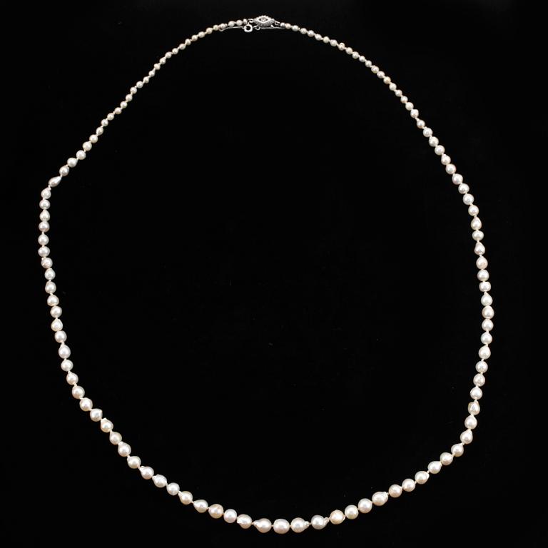 COLLIER, odlade barocka saltvattenspärlor, lås i silver.