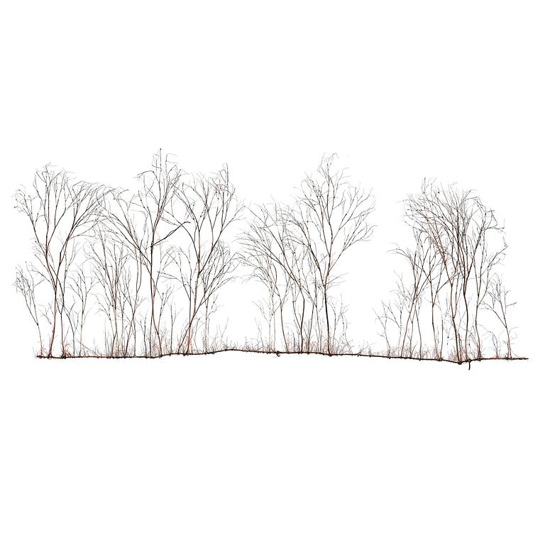 Johanna Karlsson, Untitled.