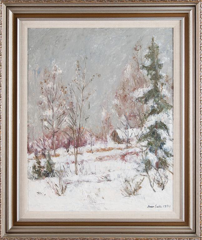 Aares Salli, Vinterlandskap.