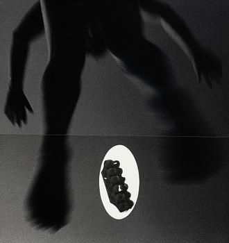 Hope Sandrow, "Egg Carton", 1989.