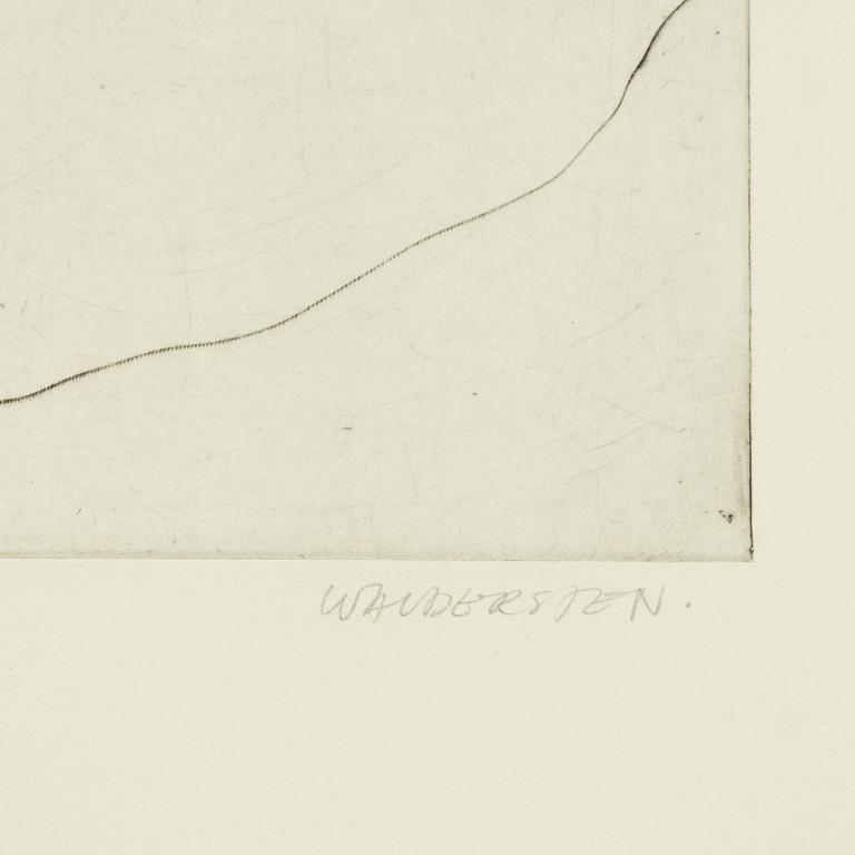 Jesper Waldersten,  'Kaos La Frentica'.