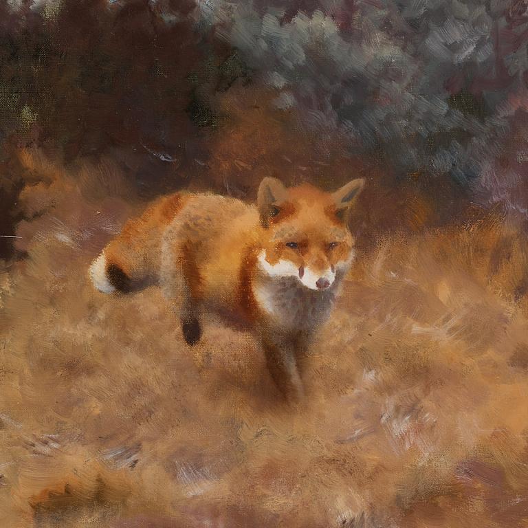 Bruno Liljefors, Fox in a fall landscape.