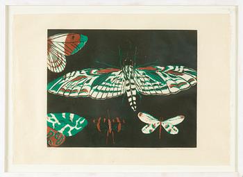 Mamma Andersson, "Natt fly".