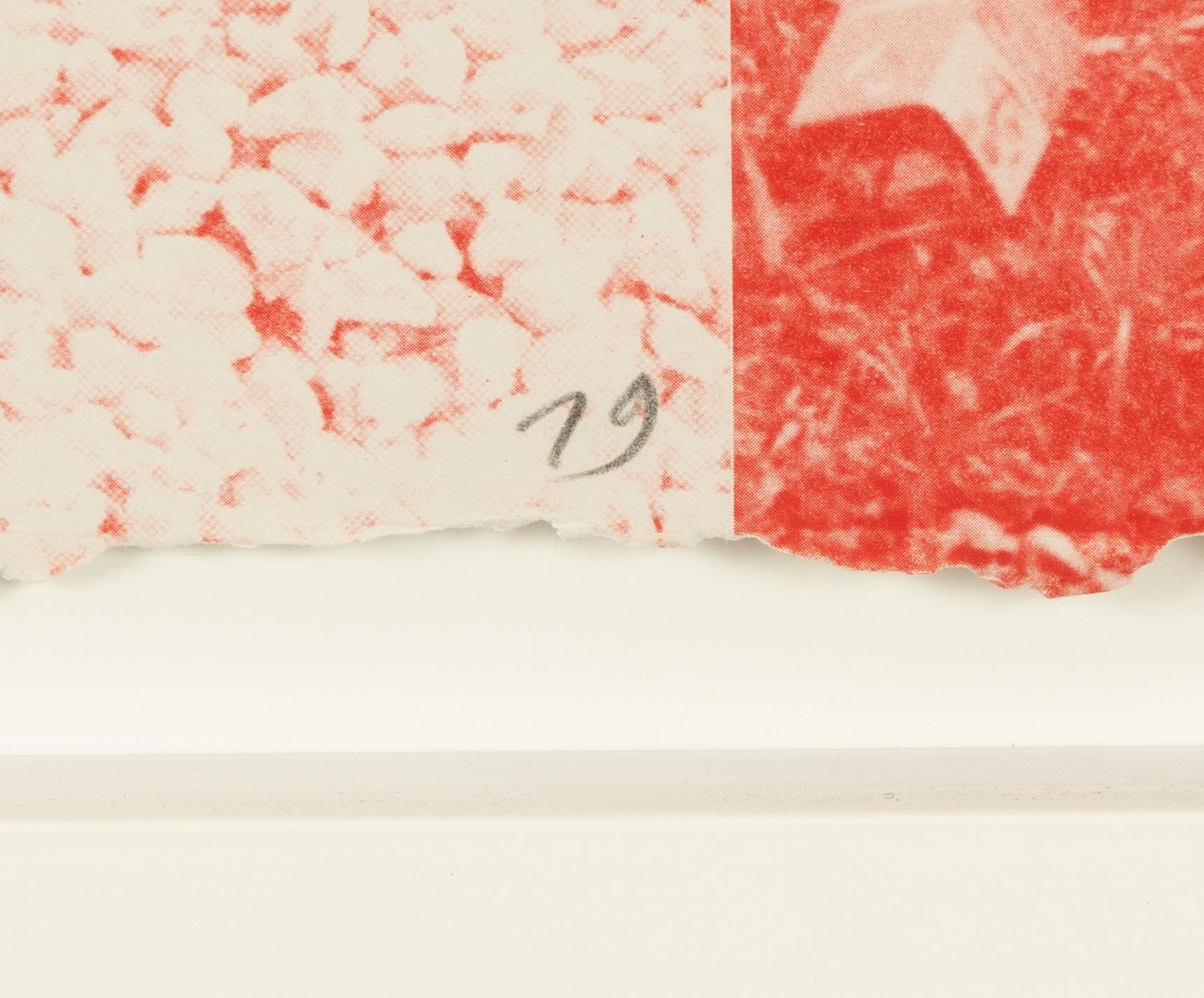 Robert Rauschenberg, "Rose Bay" from Rockery Mounds.